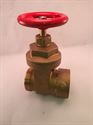 2 1/2" NST(F) X 2 1/2" NST(M) GATE VALVE WITH SWIVEL 443A1